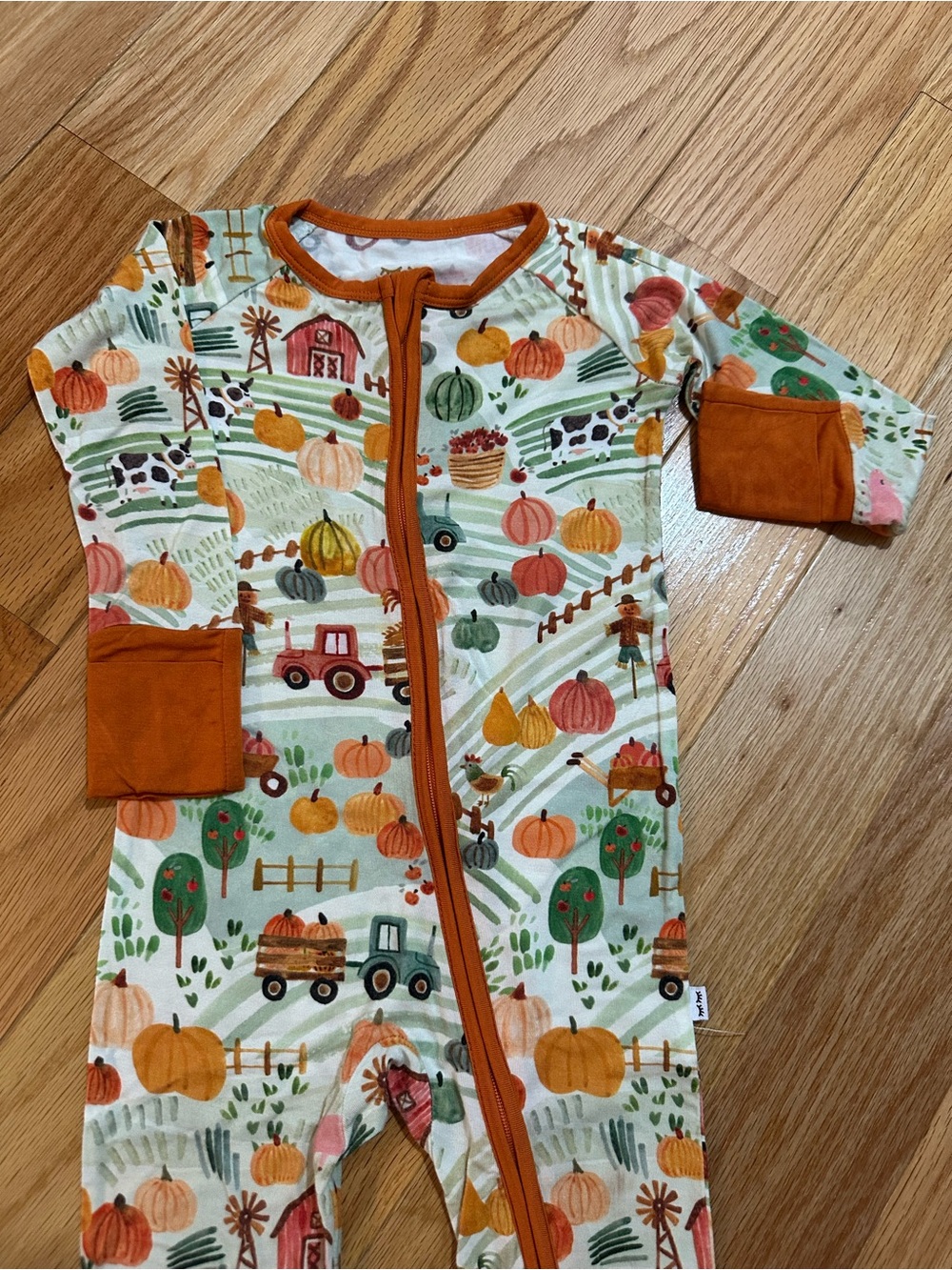 Little Sleepies happy harvest zippy